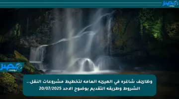 وظائف شاغرة في الهيئة العامة لتخطيط مشروعات النقل.. الشروط وطريقة التقديم بوضوح الأحد 20/07/2025